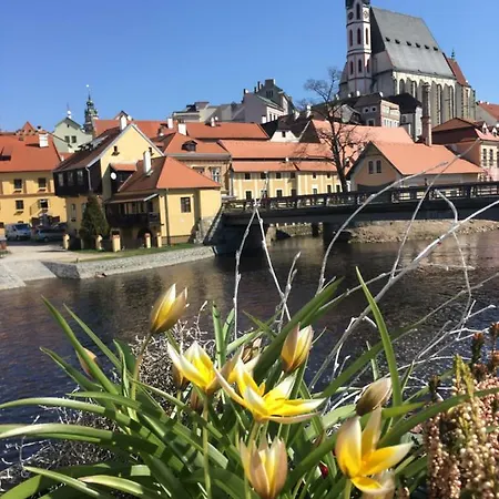 Wok Гостевой дом